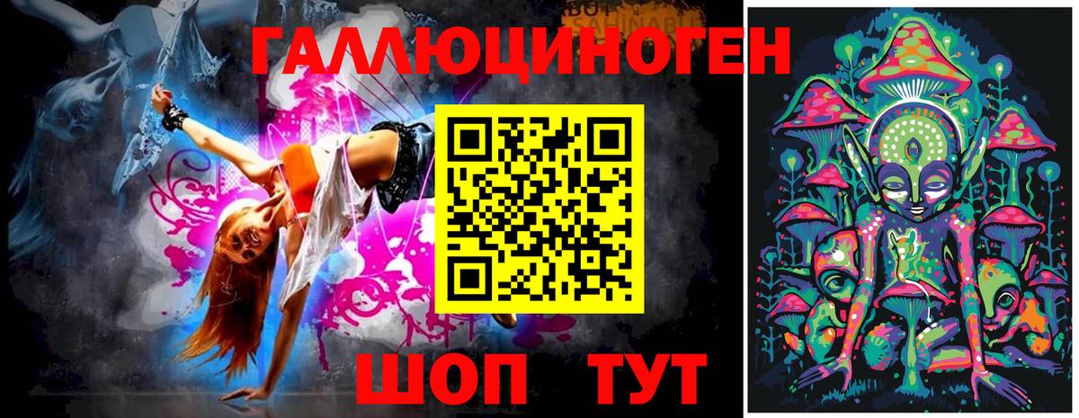 Псилоцибиновые грибы Psilocybine cubensis Артёмовский